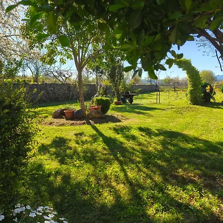 Rincon Del Bierzo
